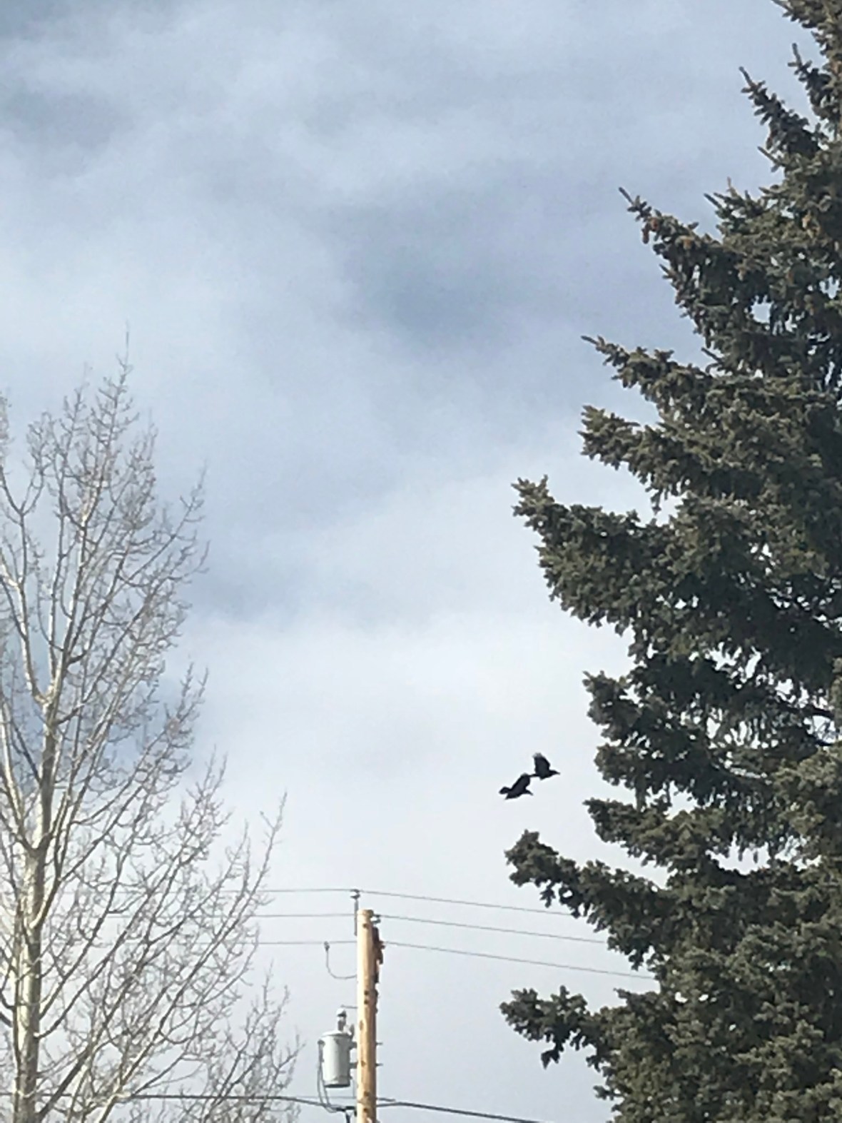 4515CB13-AAC7-472C-BF12-B9569CCC37F1